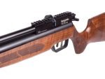 Benjamin Marauder Semi-Automatic - Image 2